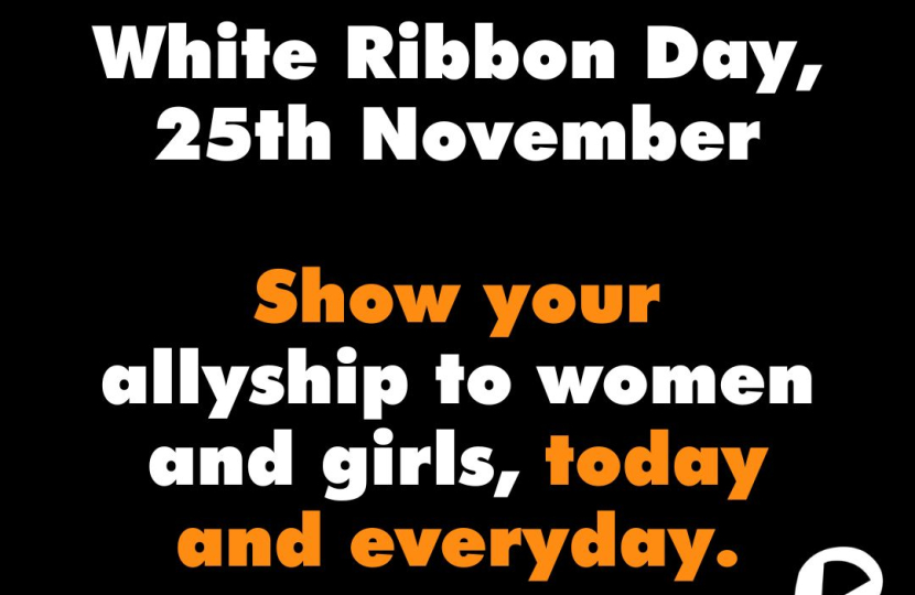 Mims Davies MP in Chamber on White Ribbon Day