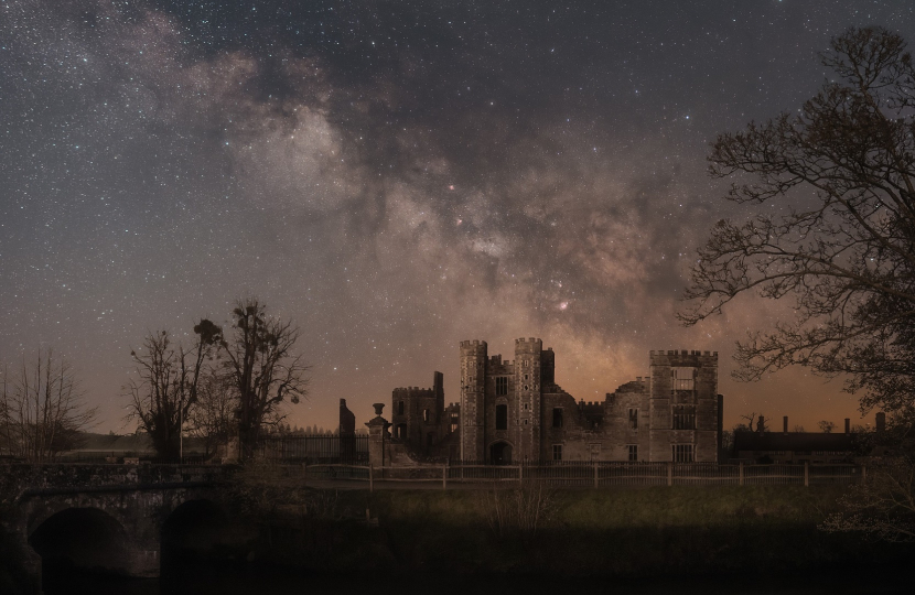 Cowdray Cosmos by Richard Murray