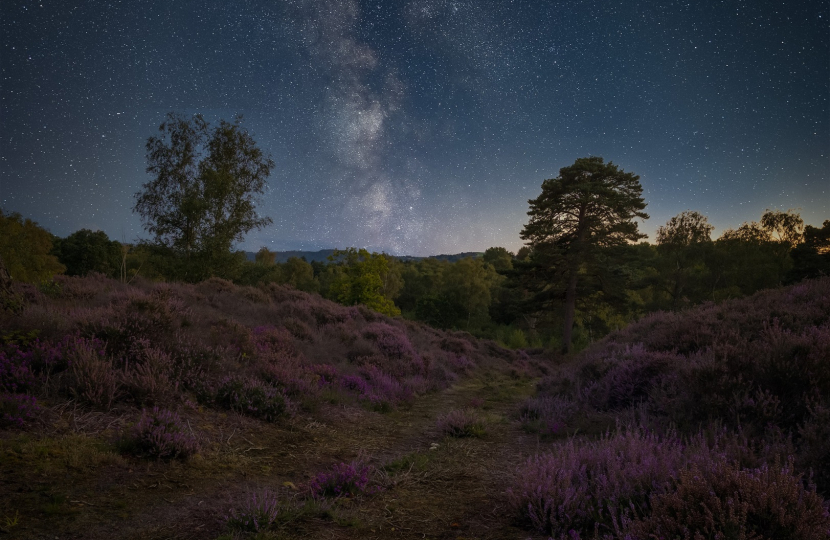 Heather and Milky Way by Carl Gough low res