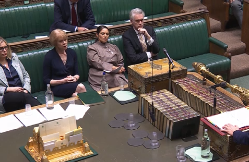 Mims Davies MP in Chamber on White Ribbon Day