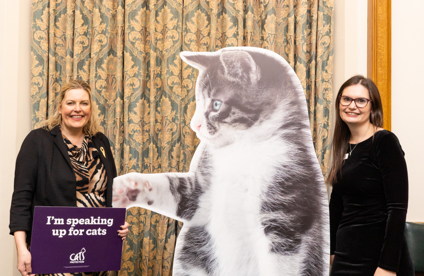 Mims Davies MP joins Cats Protection discussing animal welfare issues