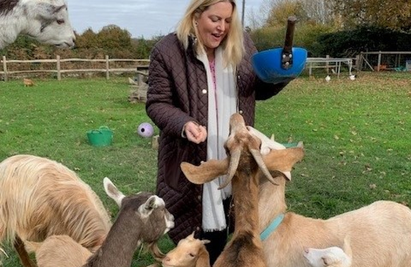 Mims Davies MP joins South Brockwells Farm after Labour Budget of Broken Promises