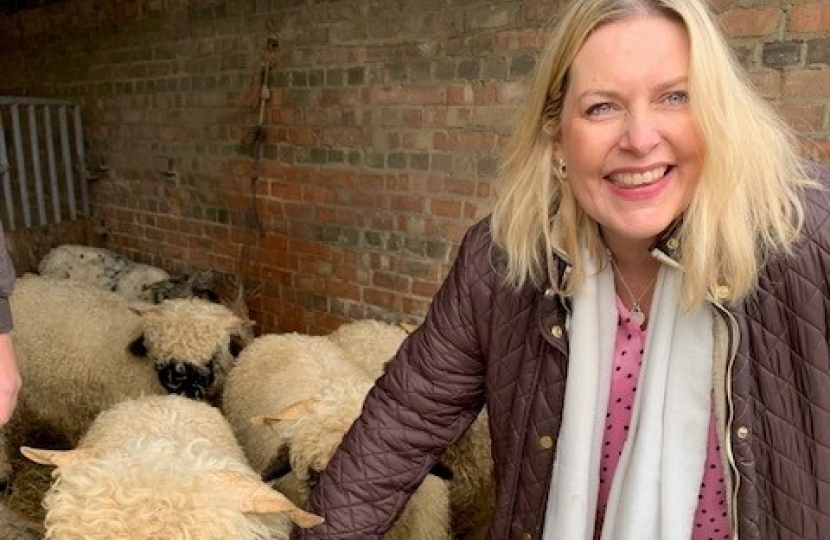 Mims Davies MP joins South Brockwells Farm after Labour Budget of Broken Promises