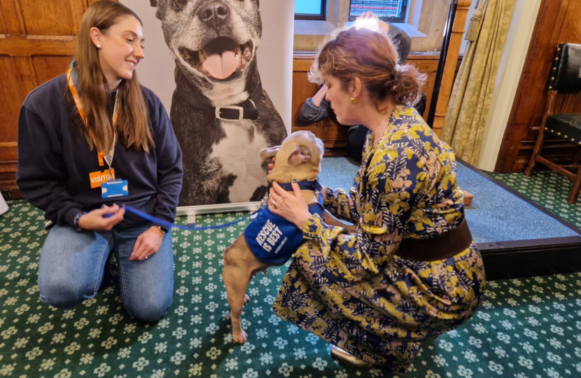 Mims Davies MP shows support for Animal Rescues at Battersea reception