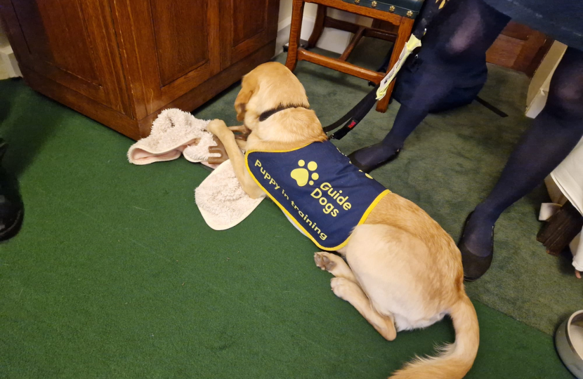 Mims Davies MP supports Guide Dog’s call for safer pavements