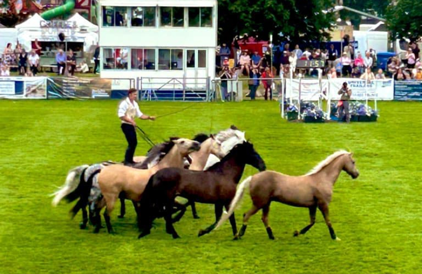 South of England Show