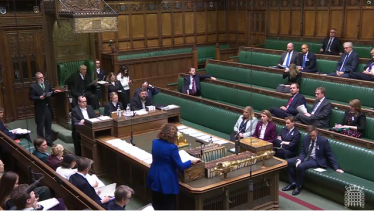 Mims Davies MP in Chamber on White Ribbon Day