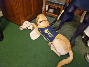 Mims Davies MP supports Guide Dog’s call for safer pavements